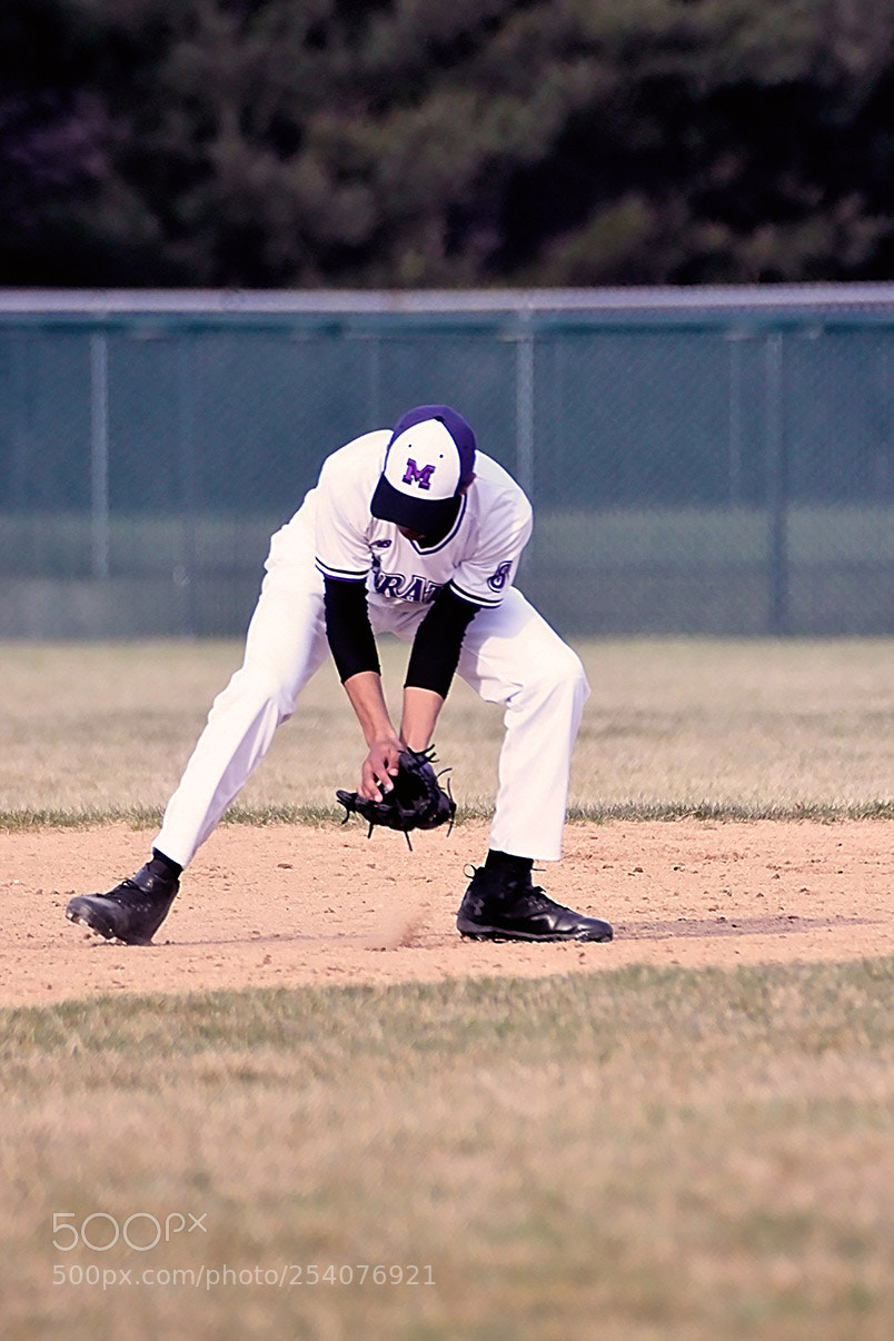 Nikon D500 sample photo. Baseball photography