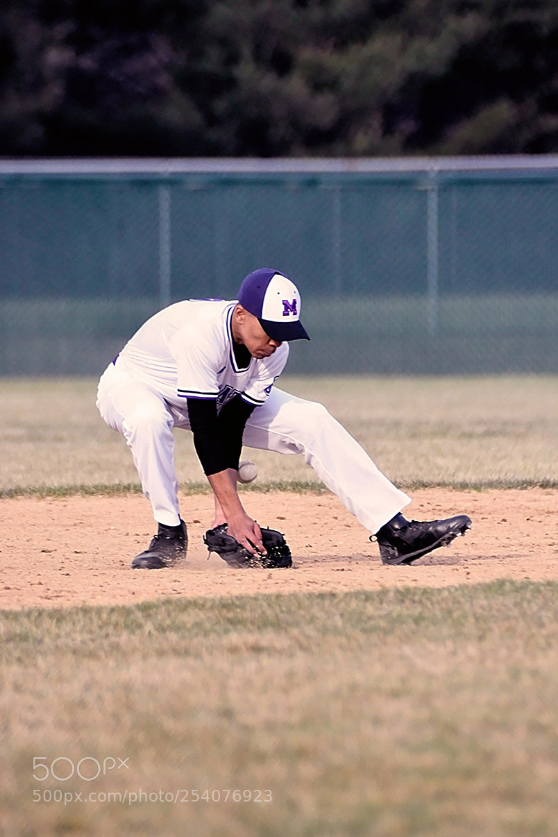 Nikon D500 sample photo. Baseball photography