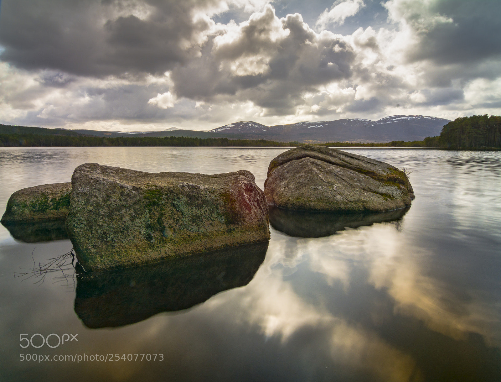 Nikon D7100 sample photo. Loch garten 1 photography