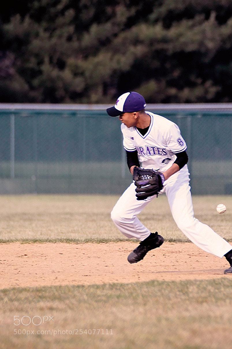 Nikon D500 sample photo. Baseball photography