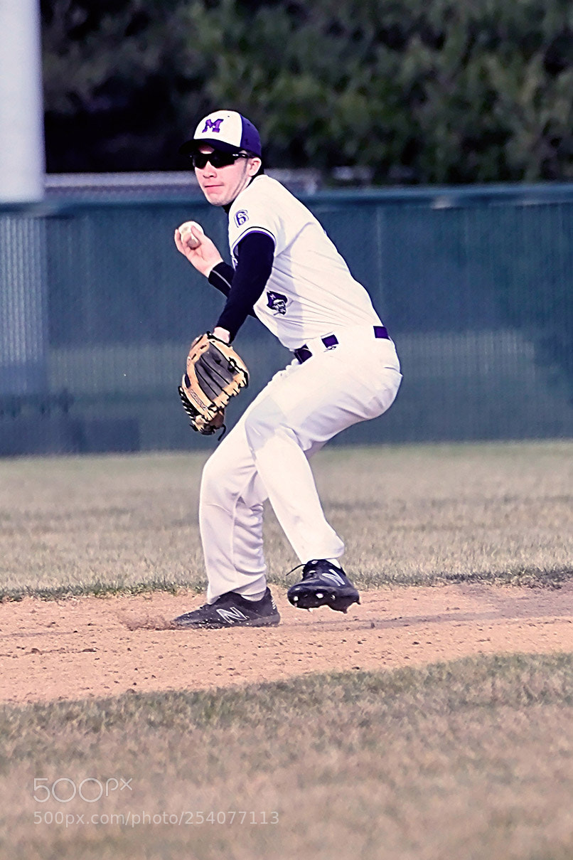 Nikon D500 sample photo. Baseball photography