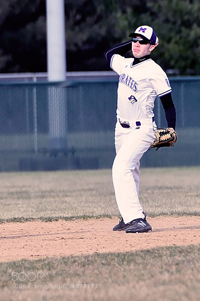 Nikon D500 sample photo. Baseball photography