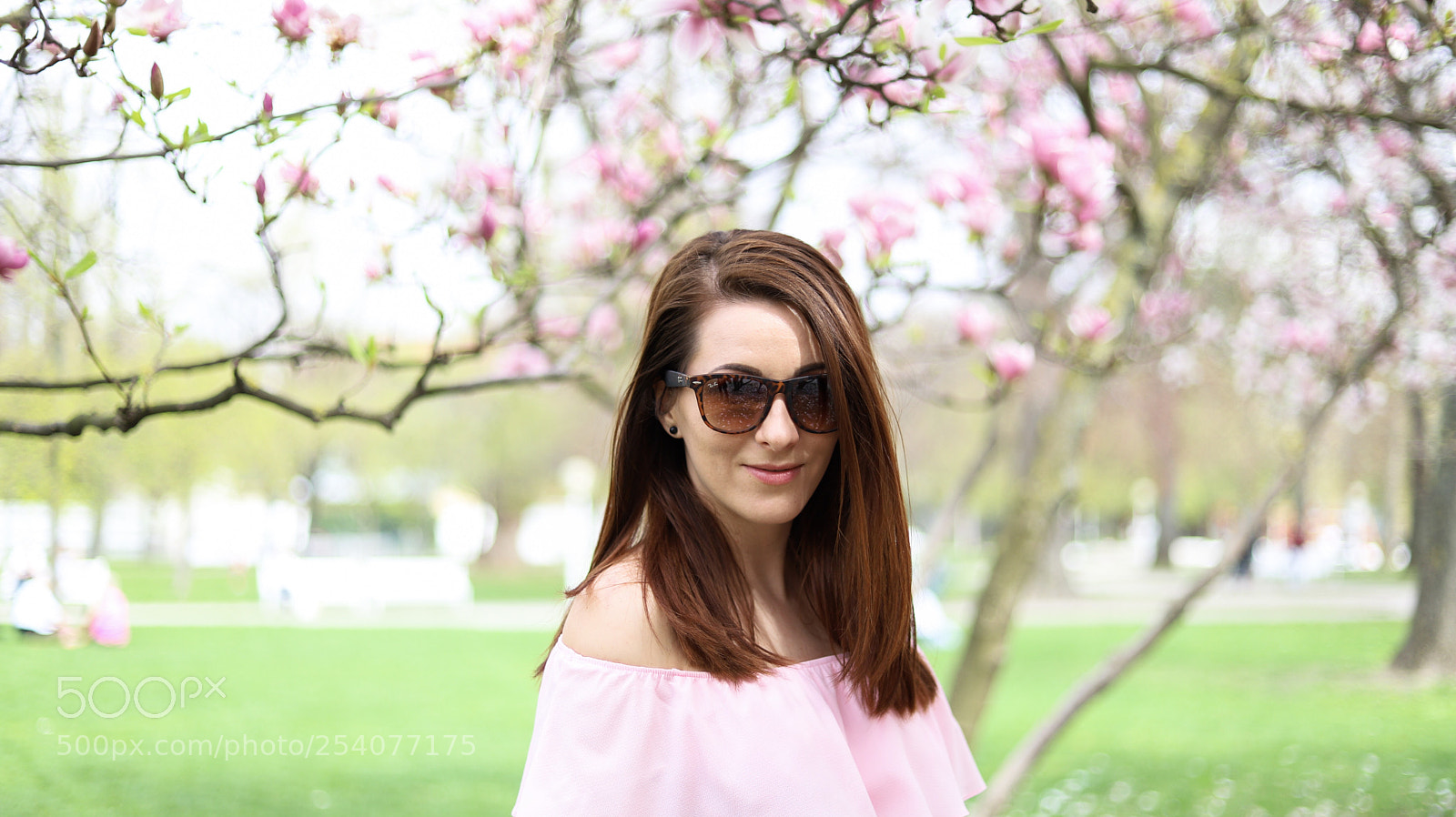 Canon EOS 6D Mark II sample photo. Untitled photography