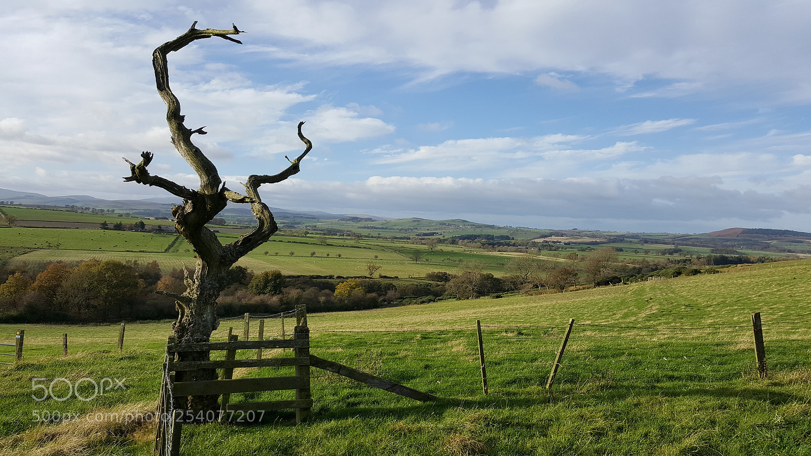 Samsung Galaxy S6 sample photo. Edlingham photography