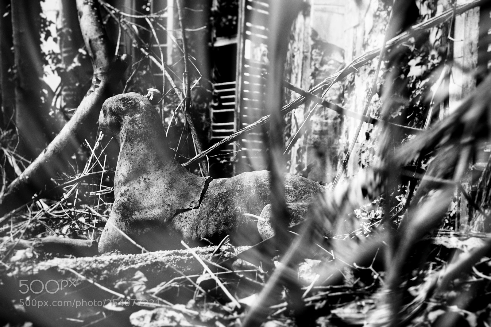 Nikon D7100 sample photo. Les persiennes... photography