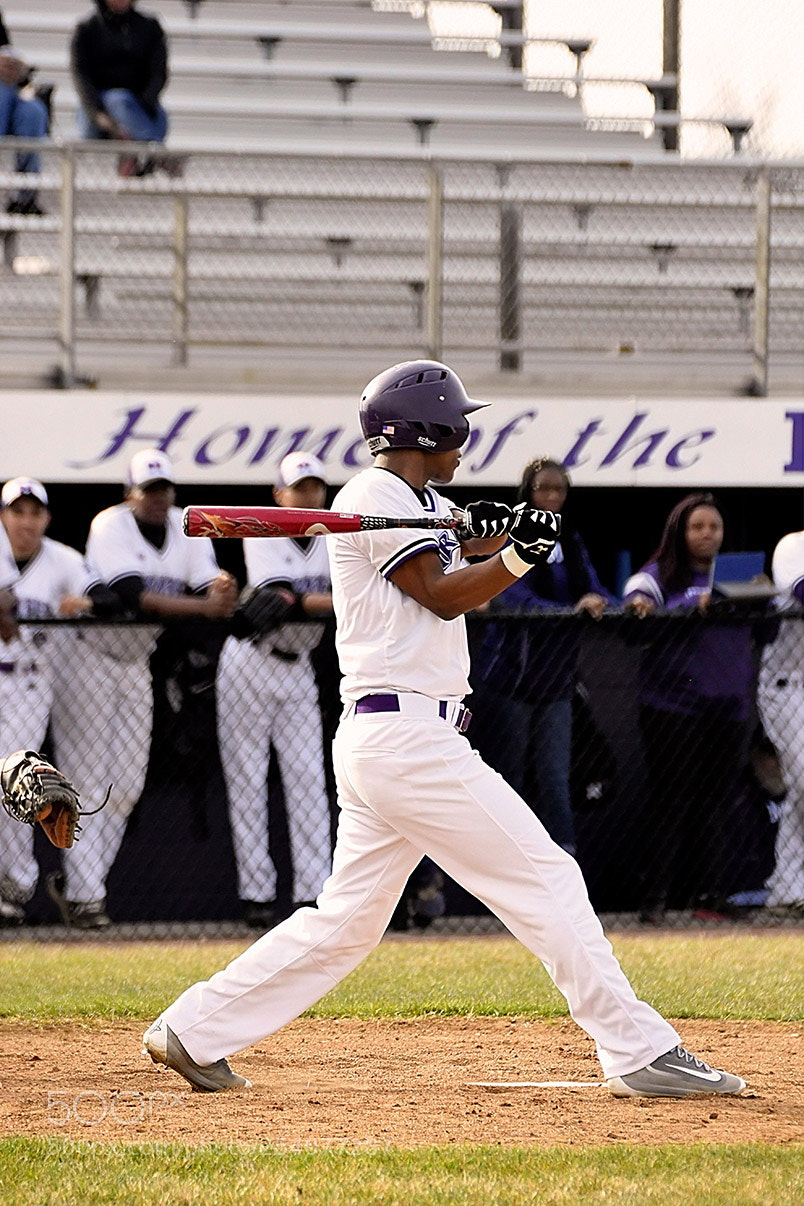 Nikon D500 sample photo. Baseball photography