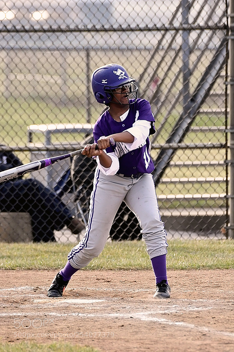 Nikon D500 sample photo. Softball photography