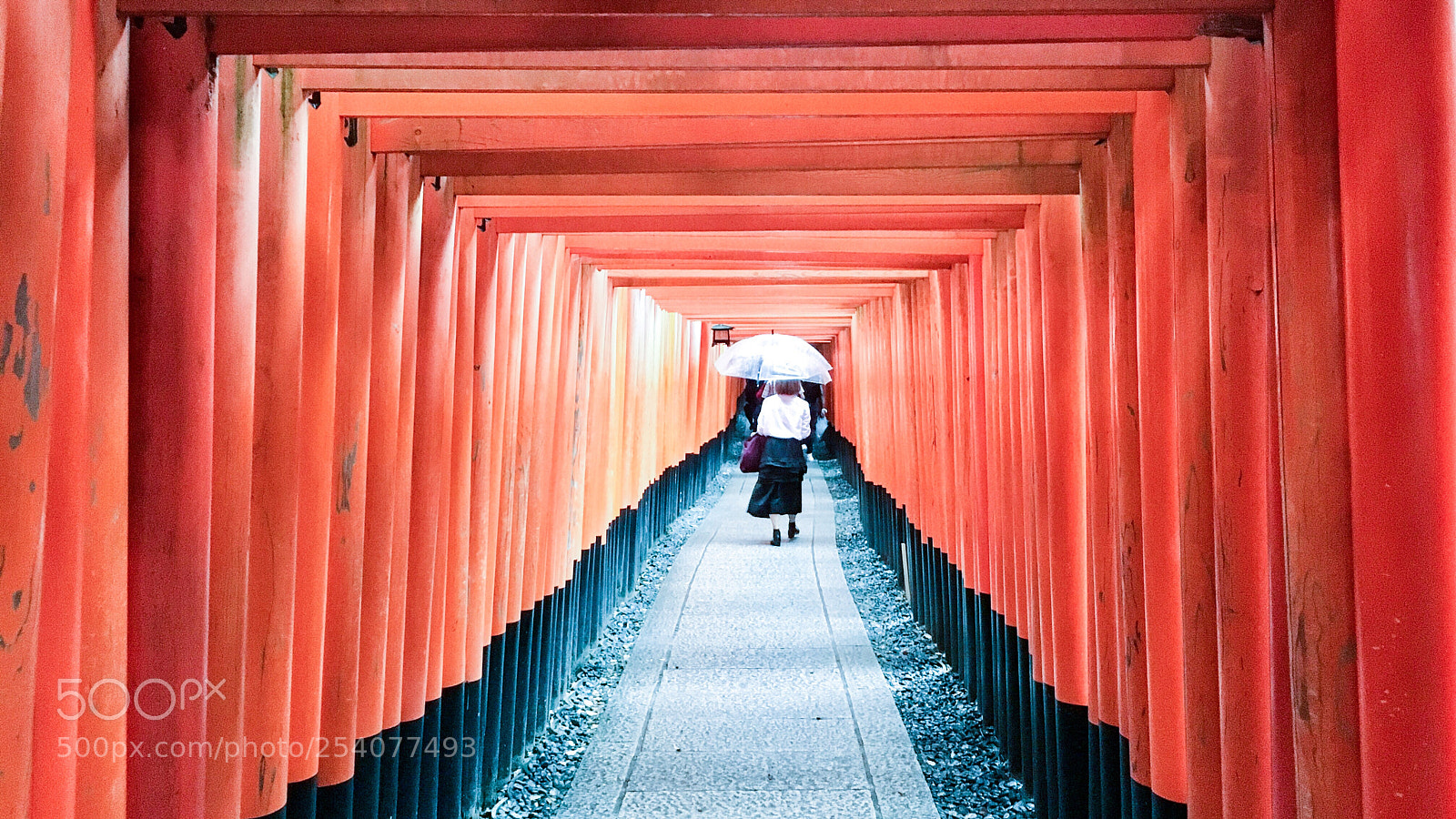 Apple iPhone 6s sample photo. Husimiinari photography