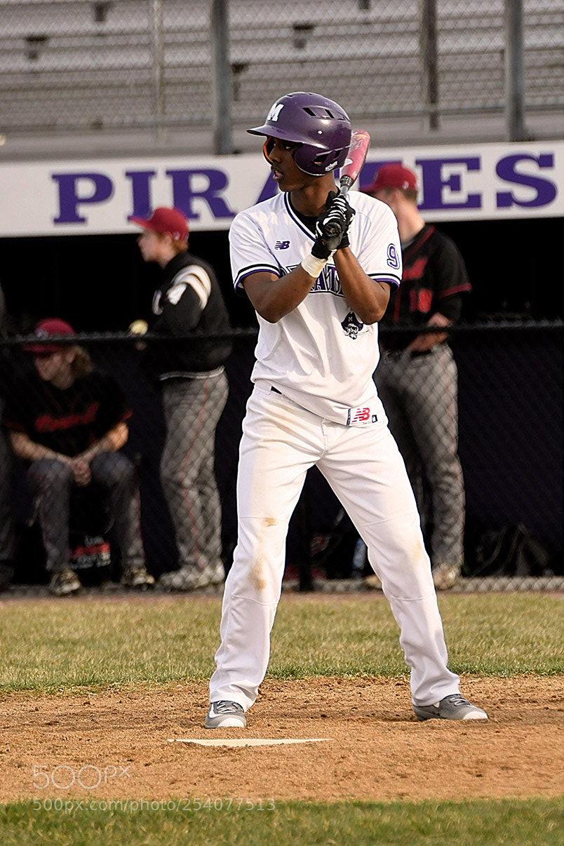 Nikon D500 sample photo. Baseball photography