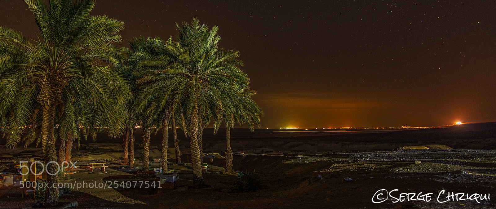 Nikon D800E sample photo. Predawn surprise photography