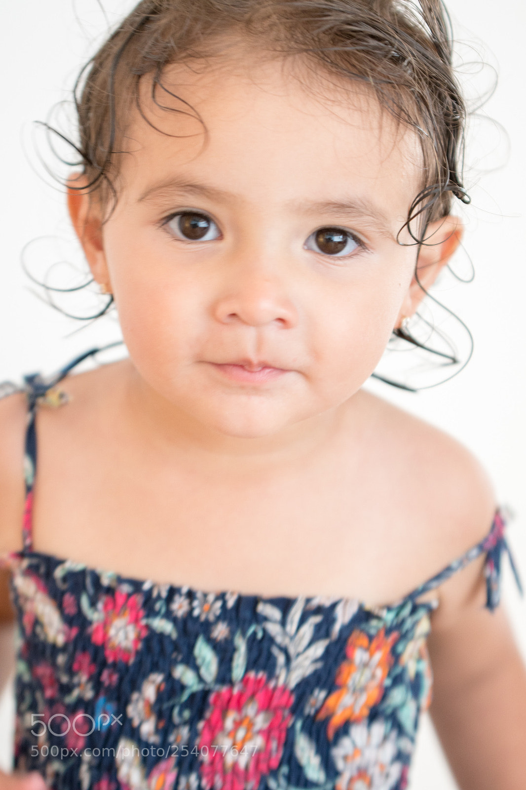 Nikon D500 sample photo. Maclara 1 photography