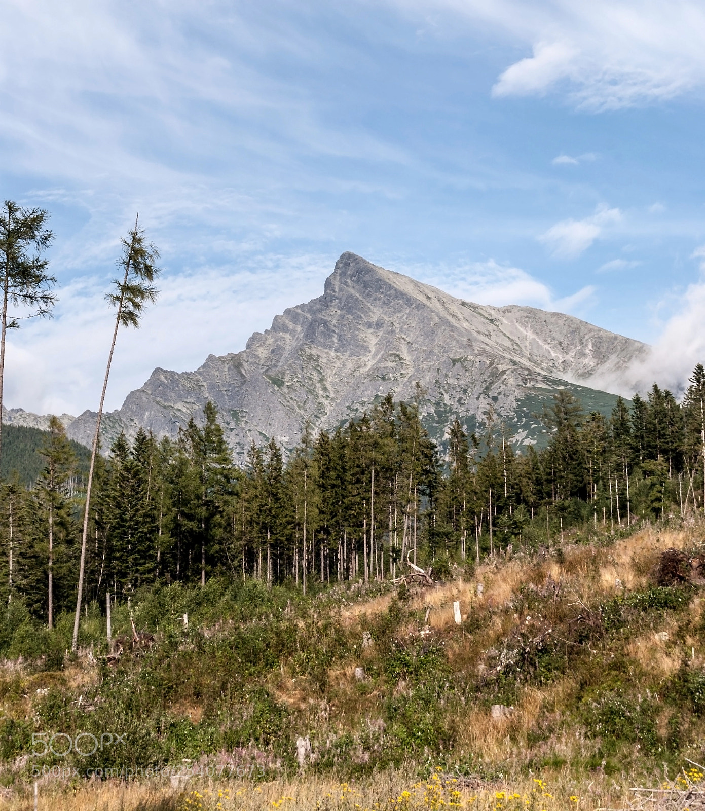 Nikon D60 sample photo. Krivan peak in high photography