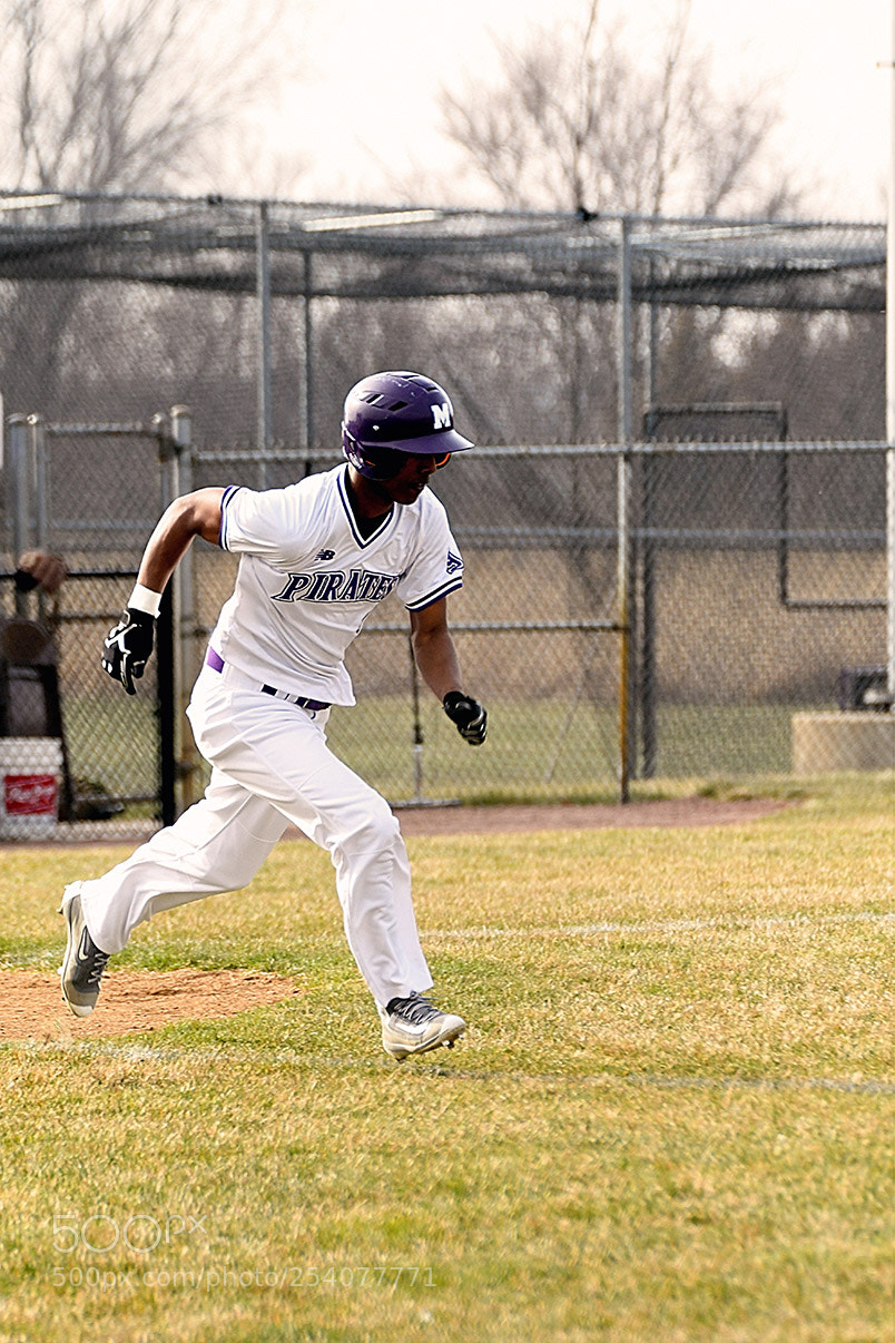 Nikon D500 sample photo. Baseball photography