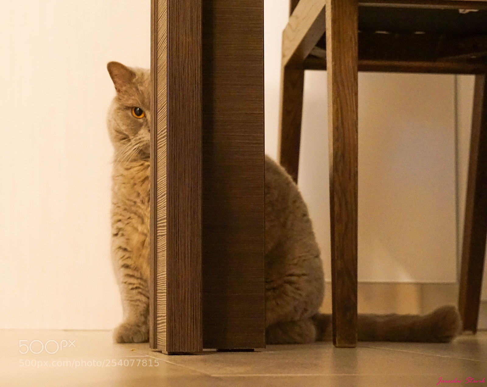 Sony a6000 sample photo. Hide and seek photography