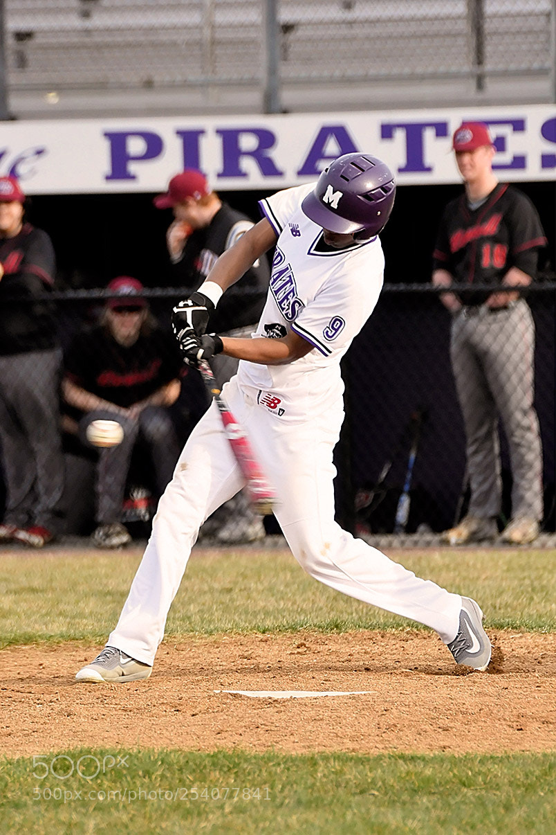 Nikon D500 sample photo. Baseball photography