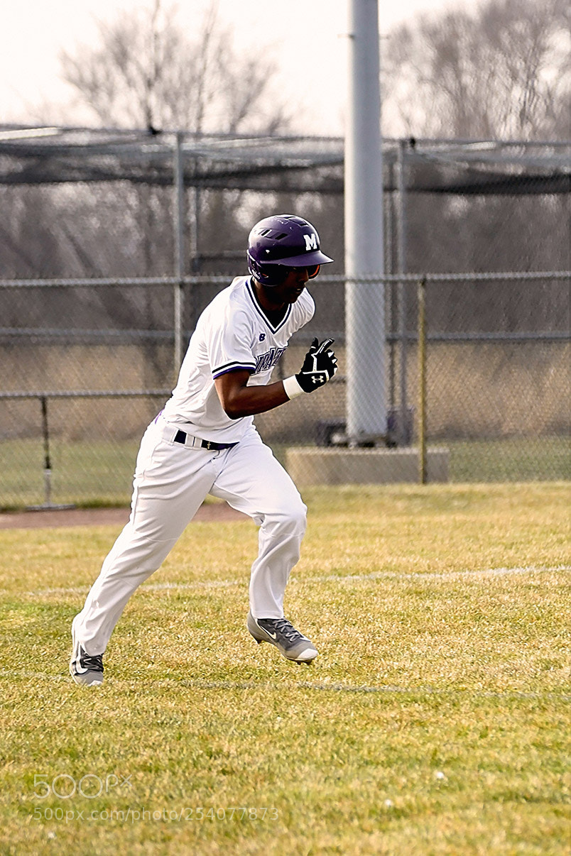 Nikon D500 sample photo. Baseball photography