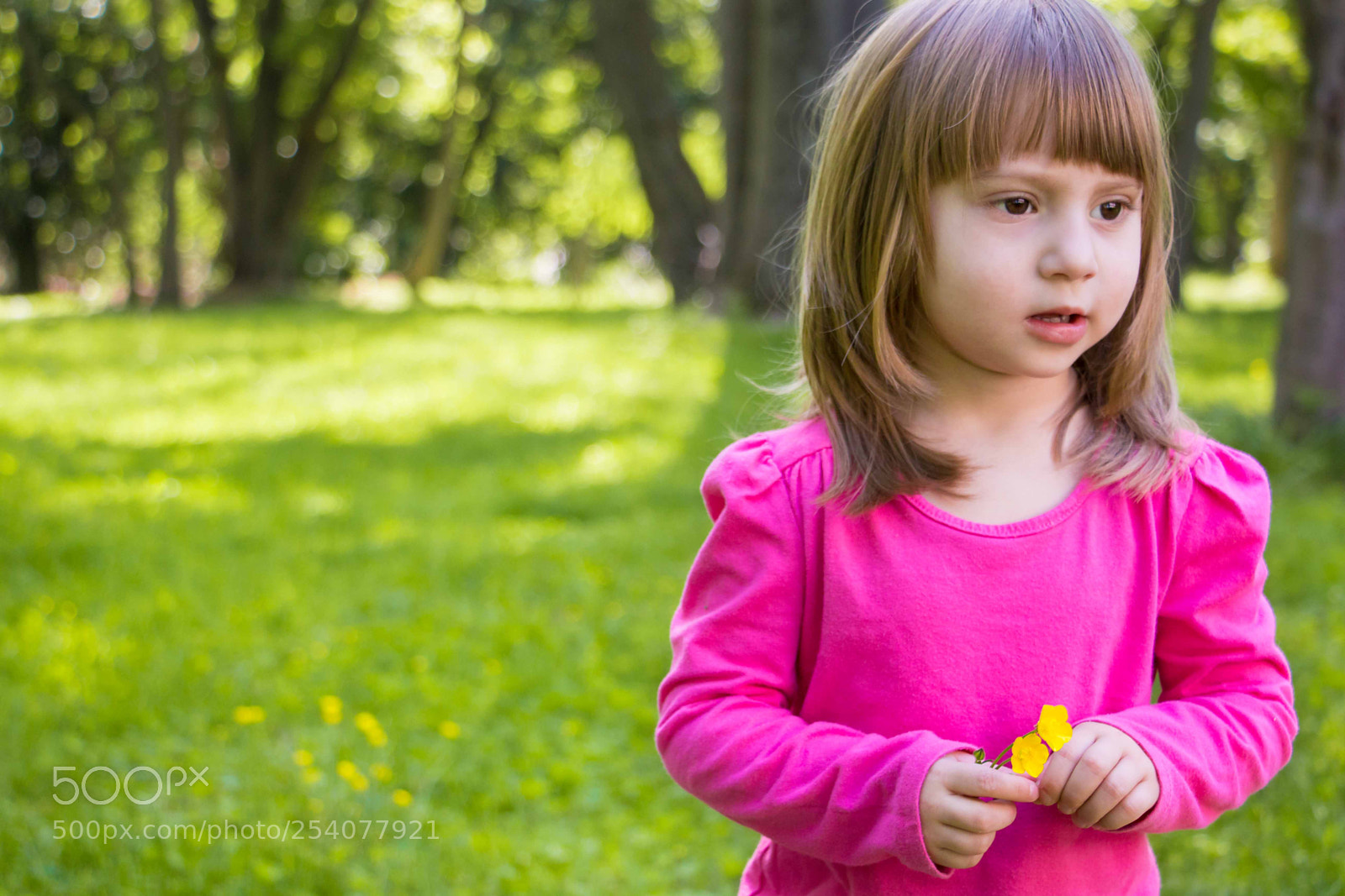 Canon EOS 70D sample photo. Park land photography