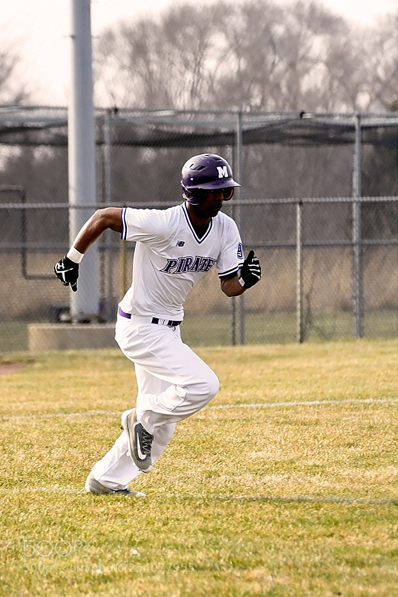 Nikon D500 sample photo. Baseball photography