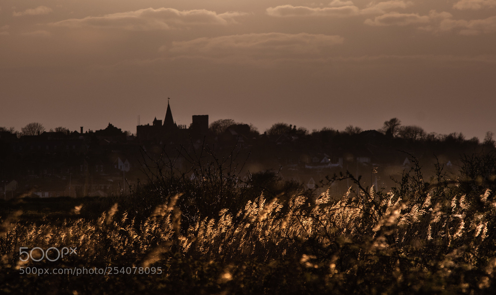Nikon D5500 sample photo. Looking at maldon from photography