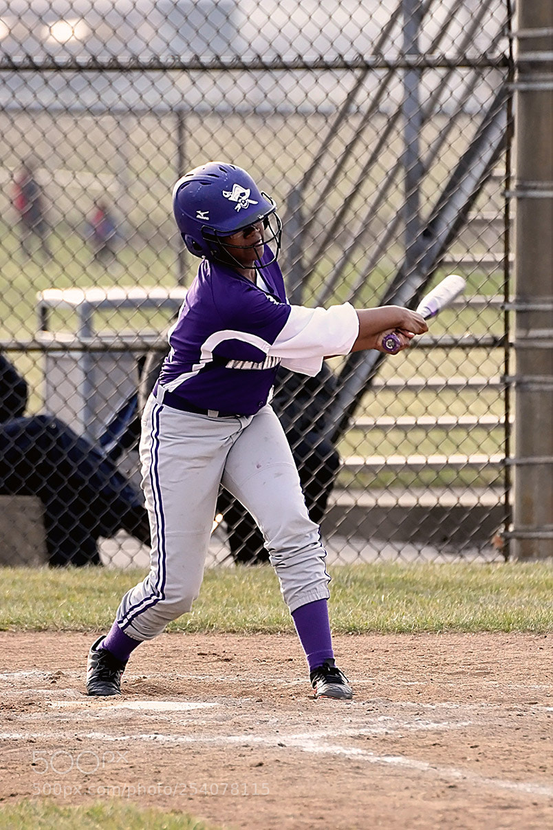 Nikon D500 sample photo. Softball photography