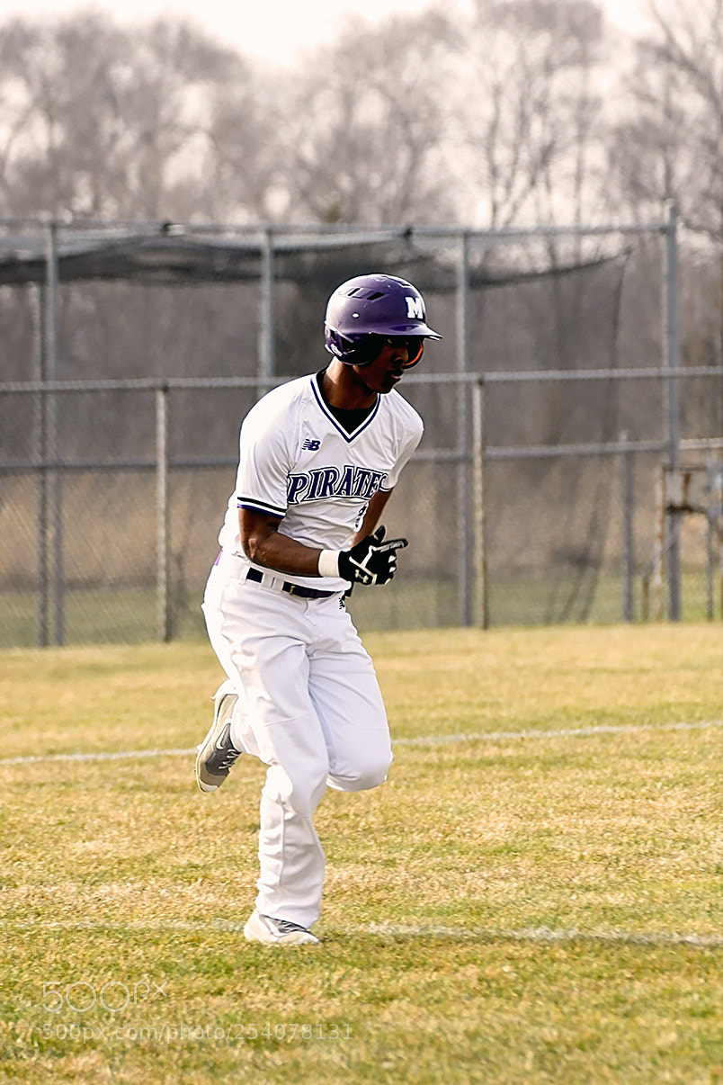 Nikon D500 sample photo. Baseball photography