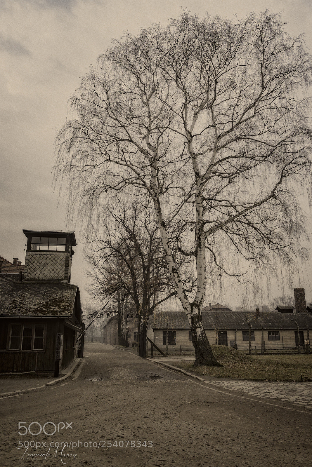 Nikon D610 sample photo. Auschwitz - birkenau photography