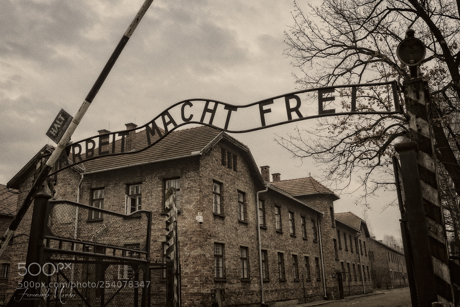 Nikon D610 sample photo. Auschwitz - birkenau photography