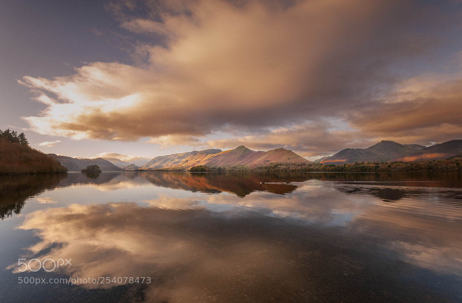 Nikon D300S sample photo. Morning reflection photography