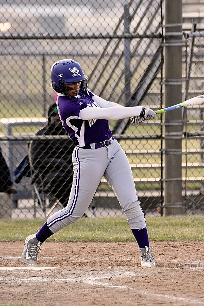 Nikon D500 sample photo. Softball photography
