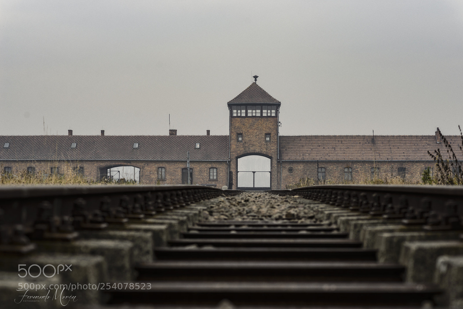 Nikon D610 sample photo. Auschwitz - birkenau photography