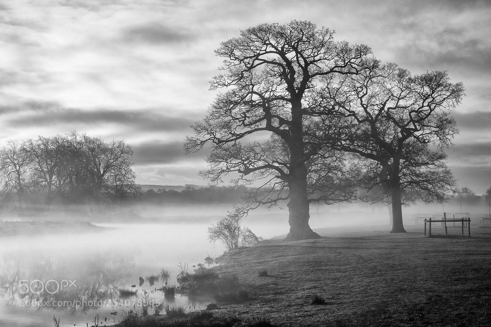 Sony Cyber-shot DSC-RX100 sample photo. Morning mist photography