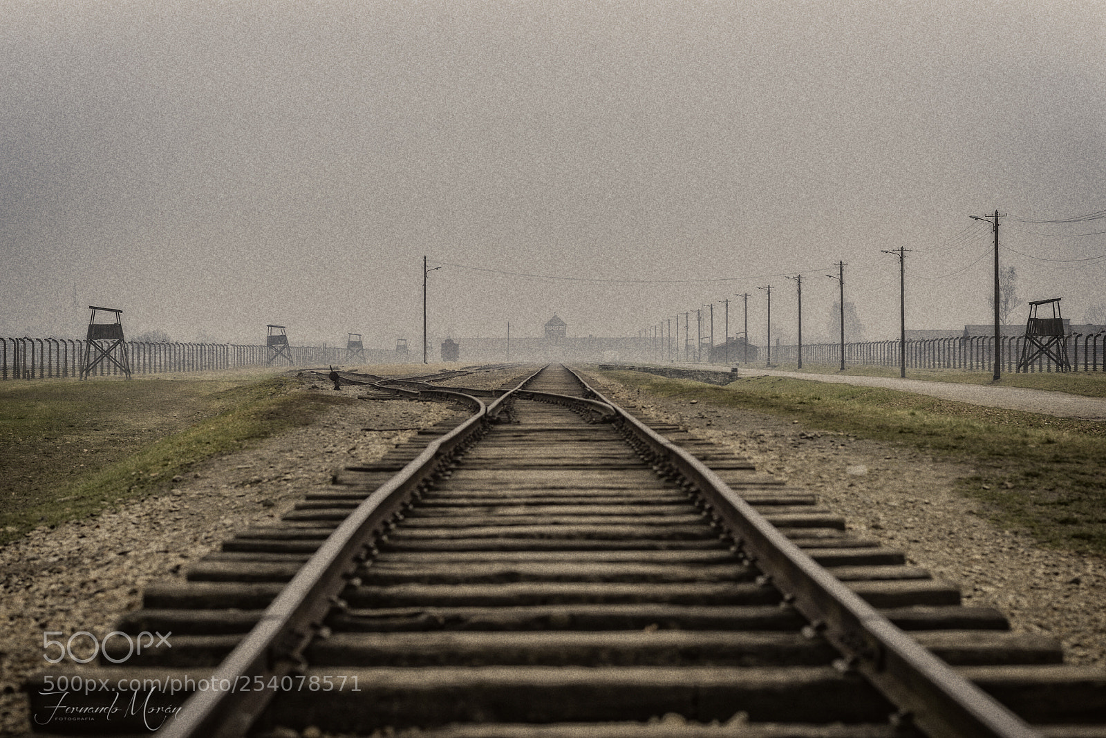 Nikon D610 sample photo. Auschwitz - birkenau photography