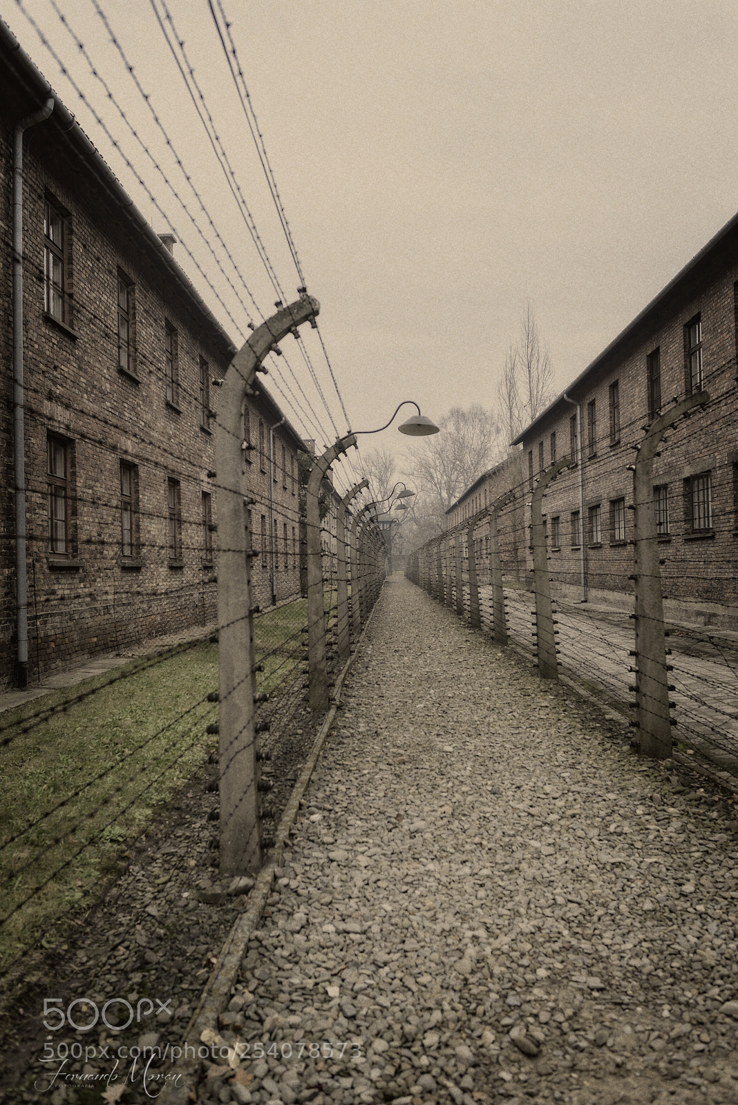 Nikon D610 sample photo. Auschwitz - birkenau photography