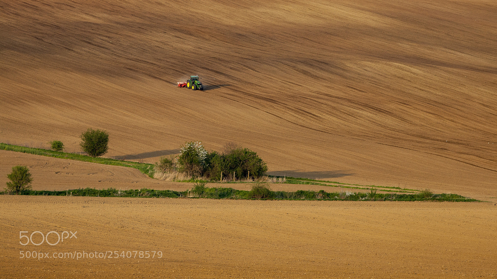 Canon EOS 5D sample photo. Spring on field photography