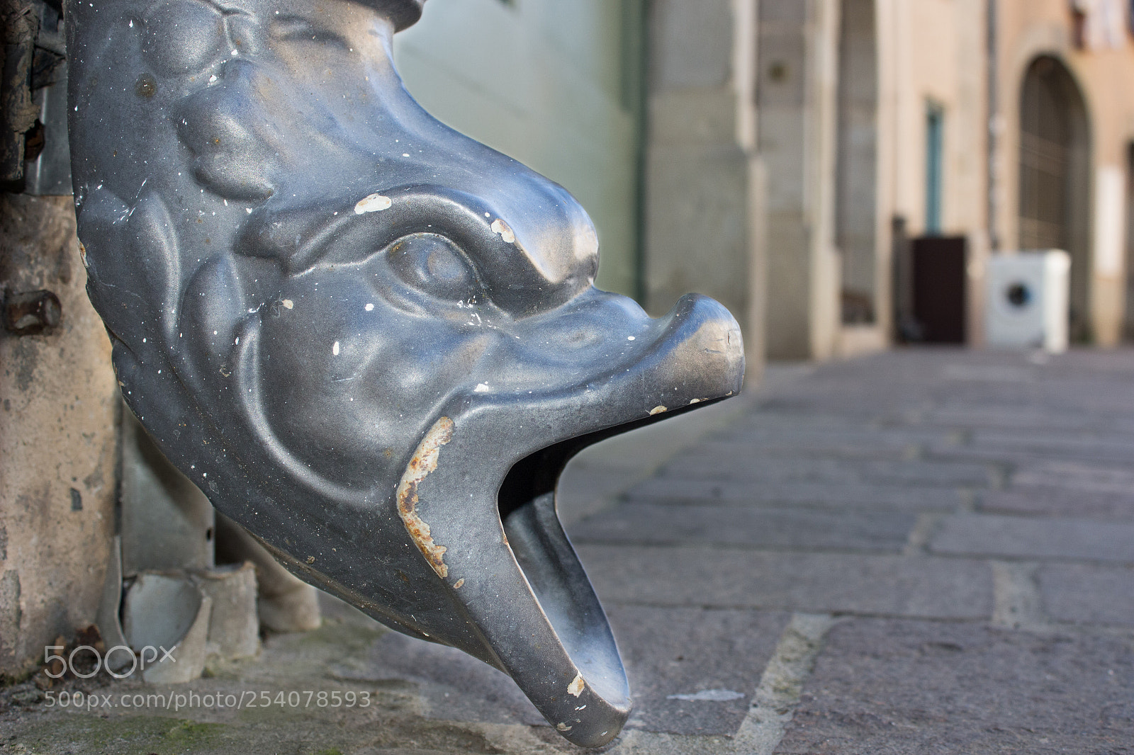 Canon EOS 100D (EOS Rebel SL1 / EOS Kiss X7) sample photo. Metalfish photography