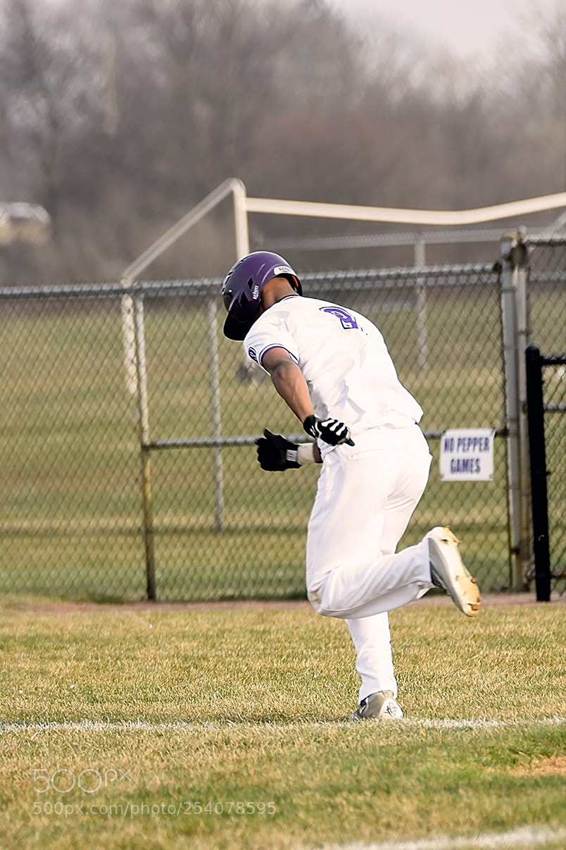 Nikon D500 sample photo. Baseball photography