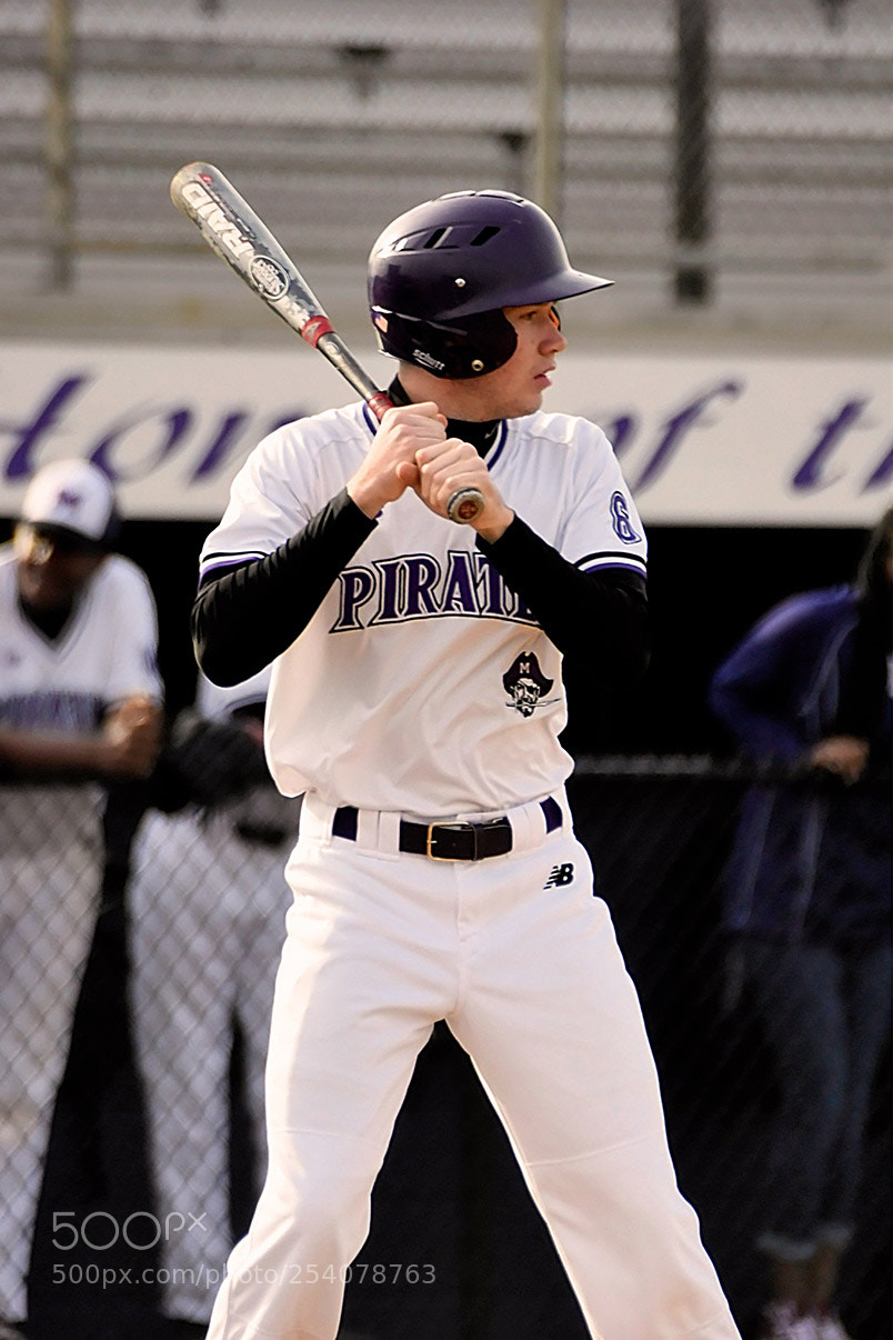 Nikon D500 sample photo. Baseball photography