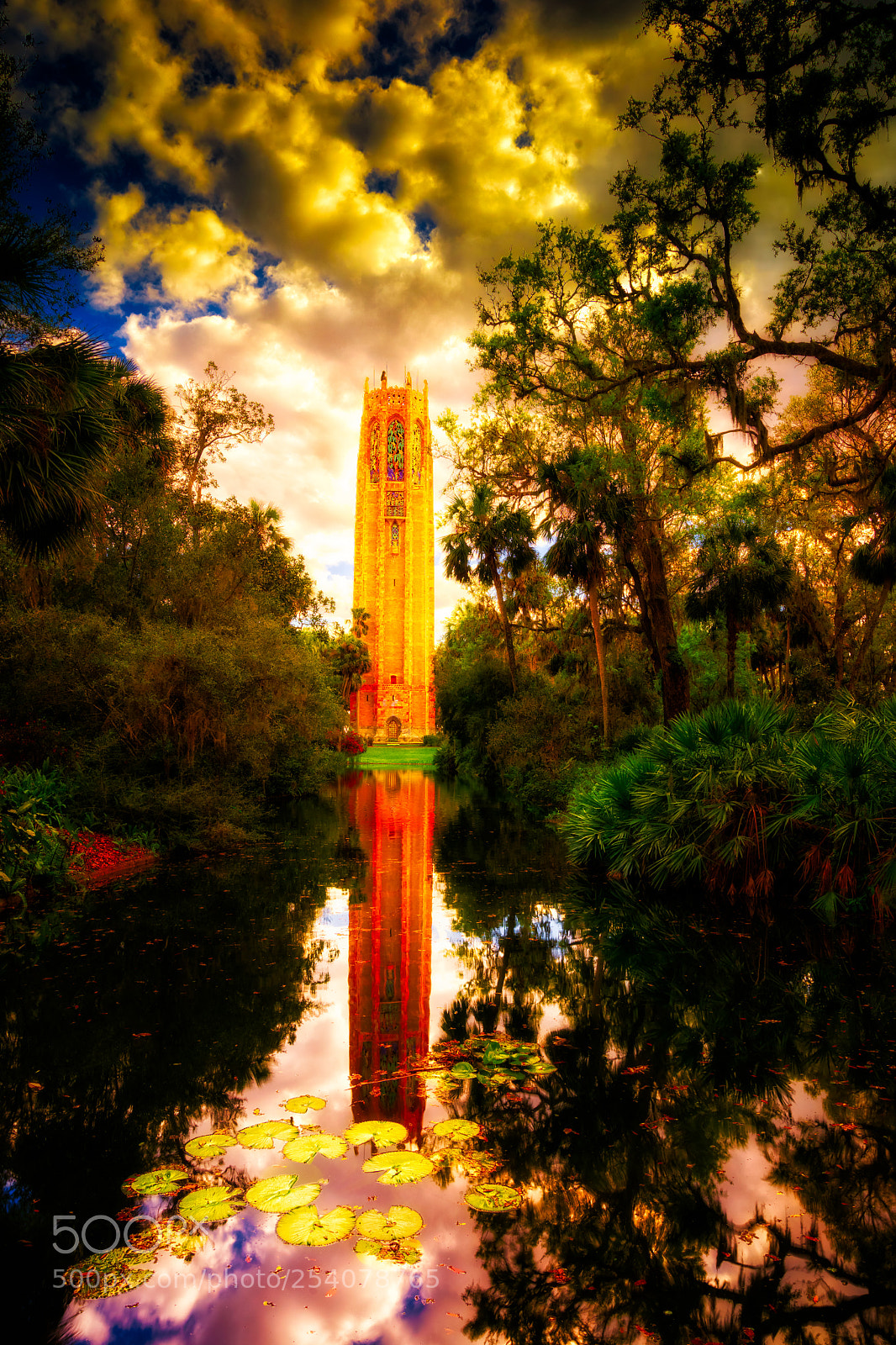 Sony a7 sample photo. Confusion. - genesis 11 photography