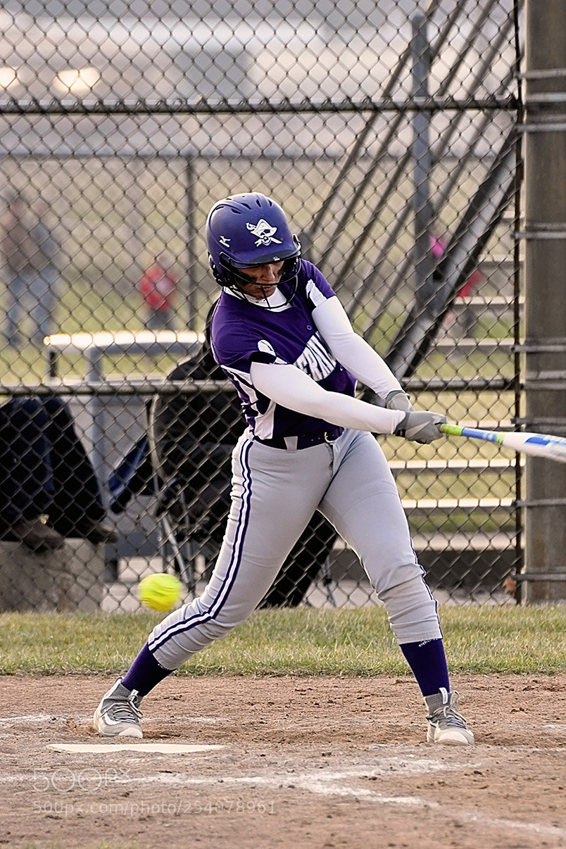 Nikon D500 sample photo. Softball photography