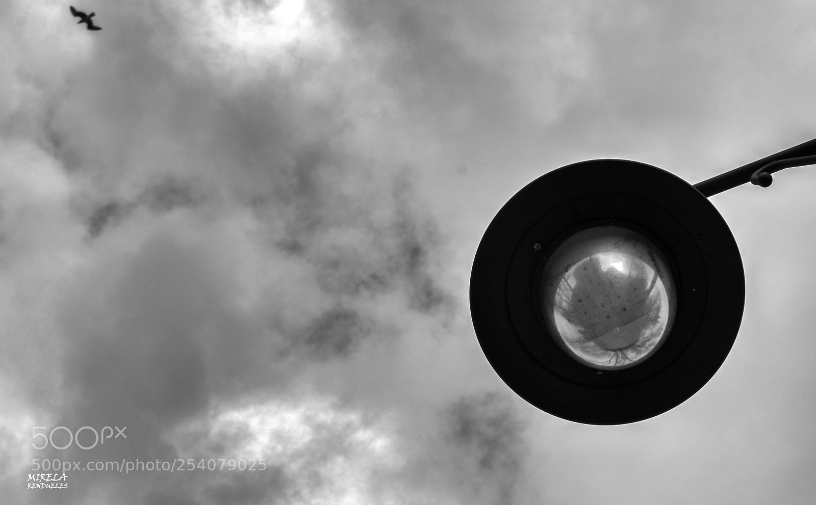 Nikon D7100 sample photo. Vuela...... photography