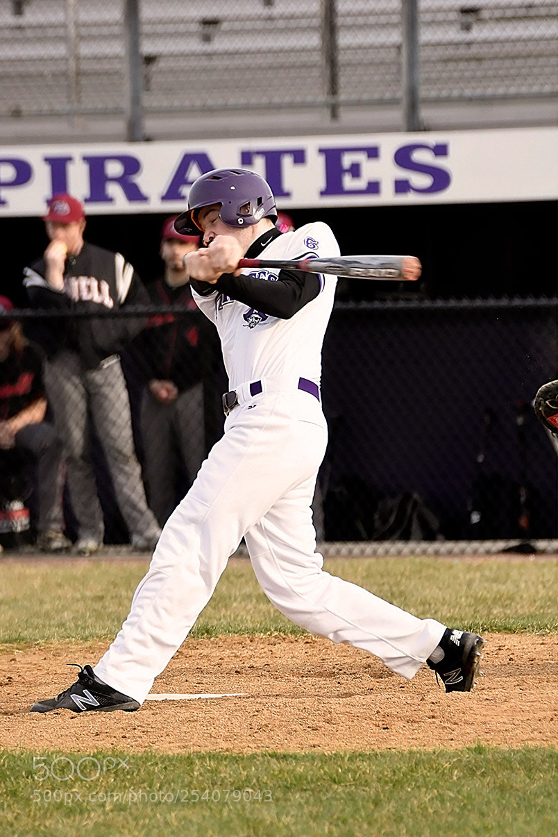 Nikon D500 sample photo. Baseball photography