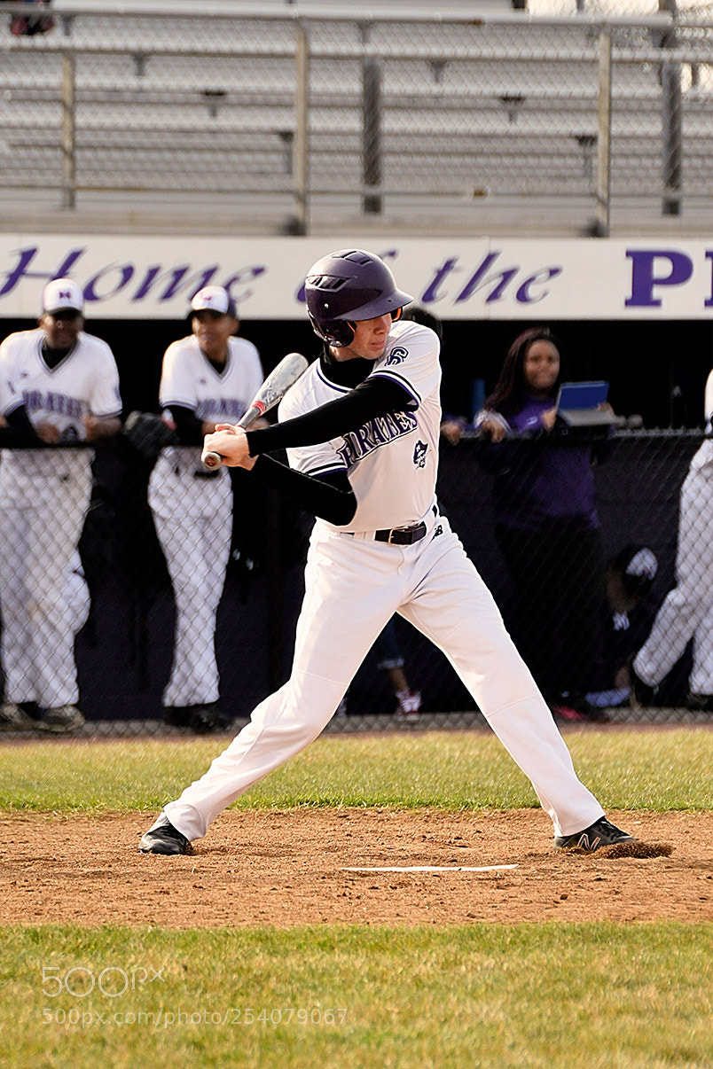 Nikon D500 sample photo. Baseball photography