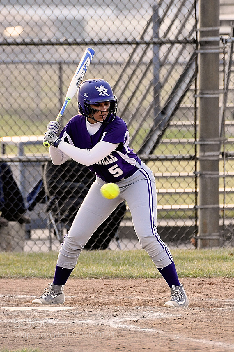 Nikon D500 sample photo. Softball photography