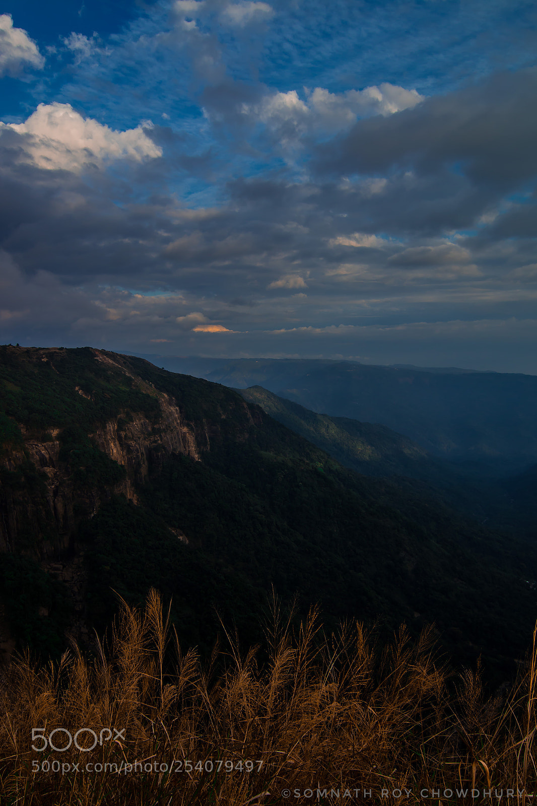 Canon EOS 70D sample photo. Untitled photography