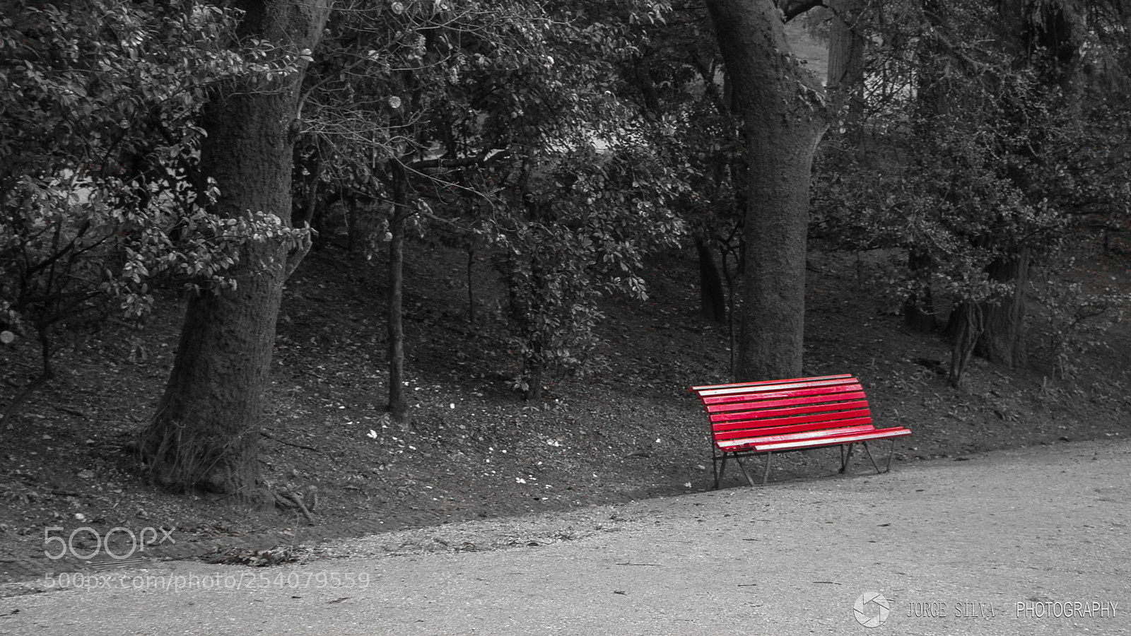 Canon EOS 1100D (EOS Rebel T3 / EOS Kiss X50) sample photo. Red bench photography