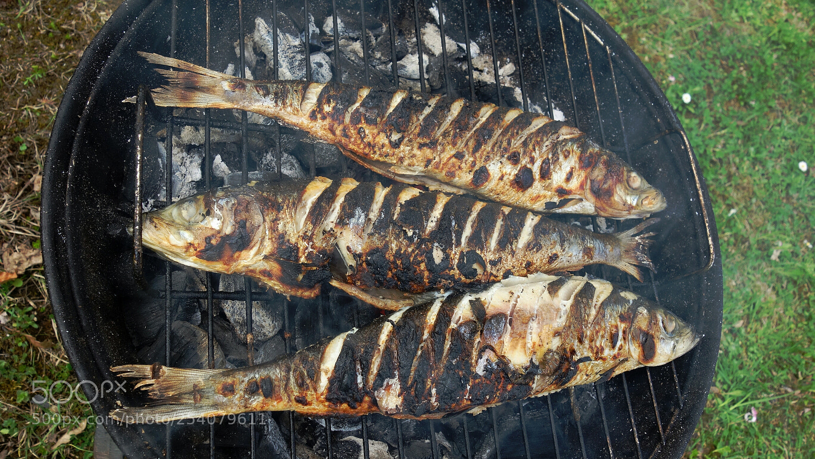 Sony Cyber-shot DSC-RX100 sample photo. Picnic mackerel photography