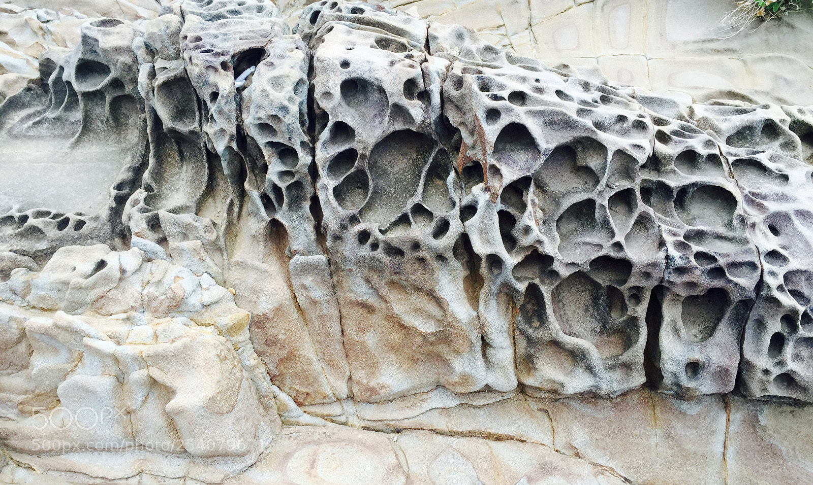 Apple iPhone 6 sample photo. Taiwan  photography