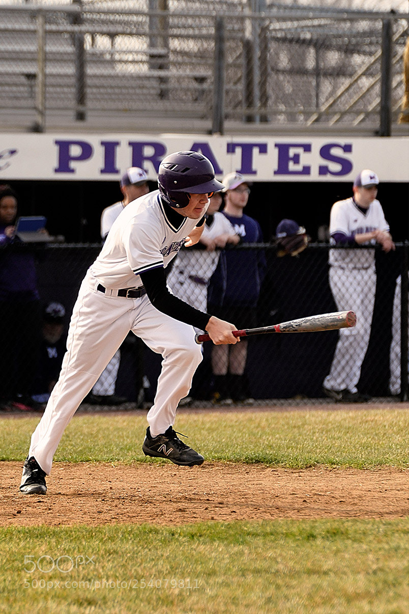 Nikon D500 sample photo. Baseball photography
