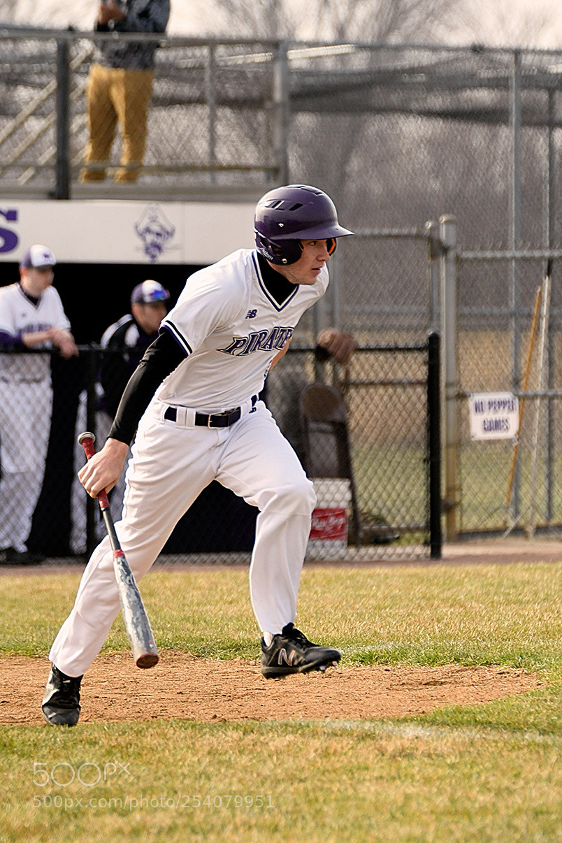 Nikon D500 sample photo. Baseball photography