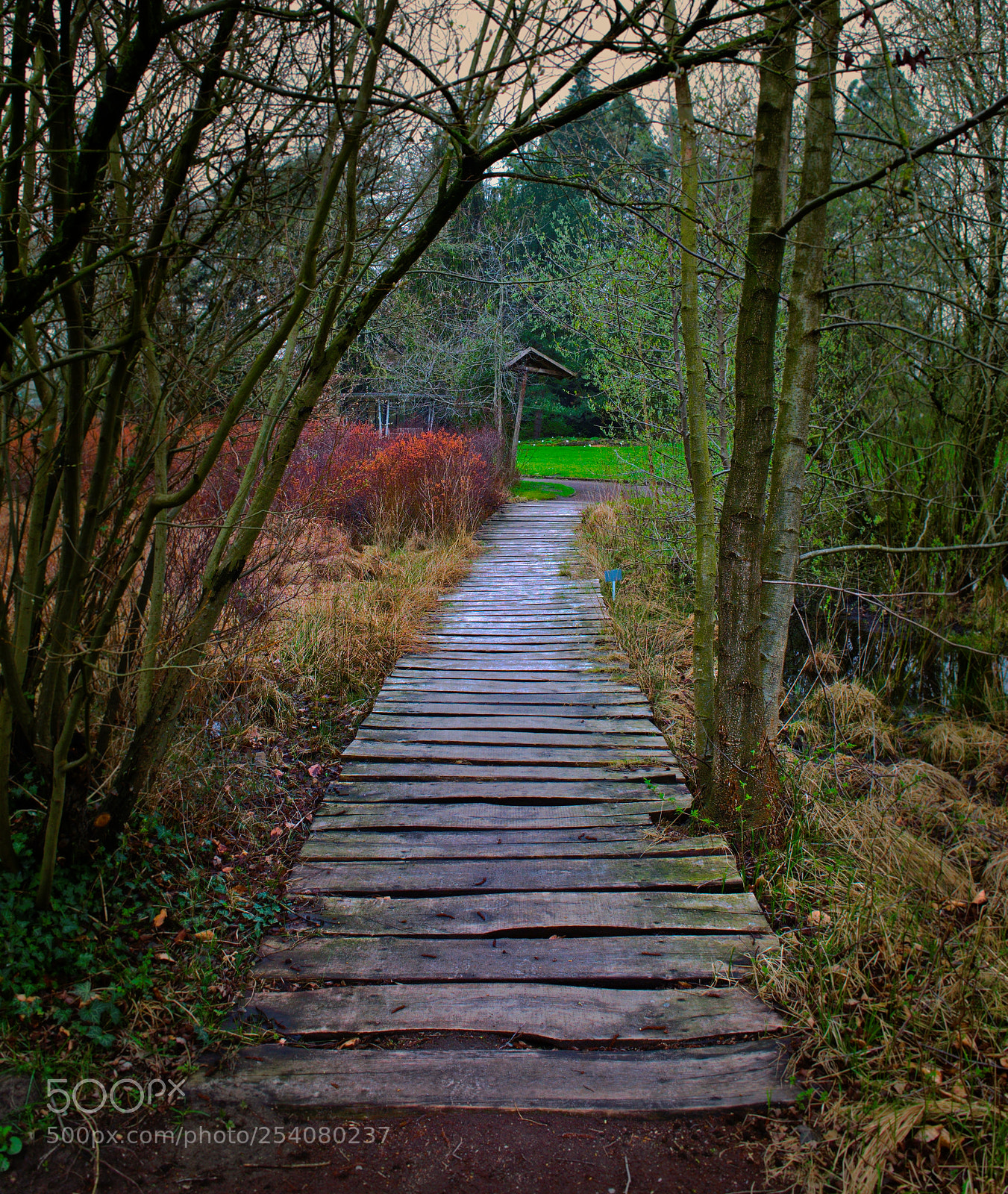Nikon D3300 sample photo. Pathway photography